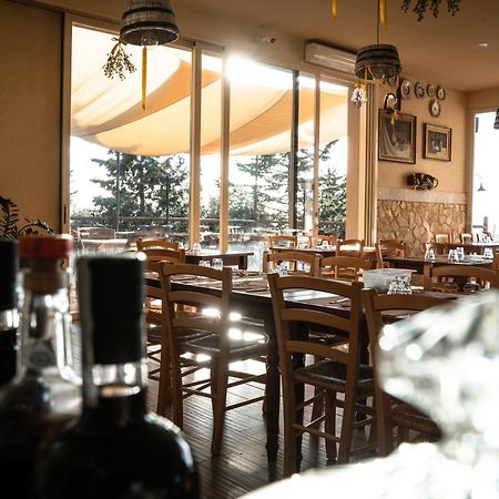 Agriturismo Eco-Bio Belmonte Vacanze Montaione Eksteriør bilde