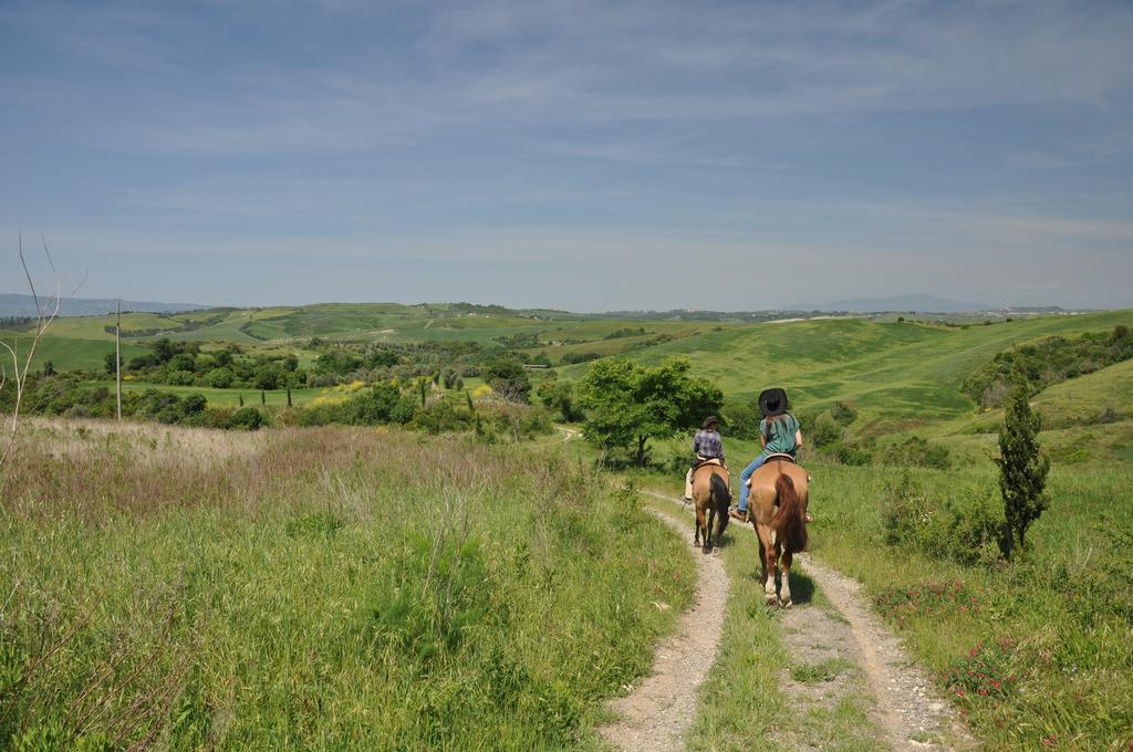 Agriturismo Eco-Bio Belmonte Vacanze Montaione Eksteriør bilde