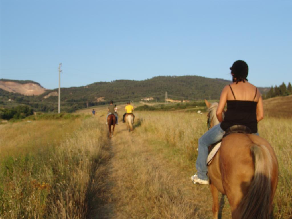 Agriturismo Eco-Bio Belmonte Vacanze Montaione Eksteriør bilde