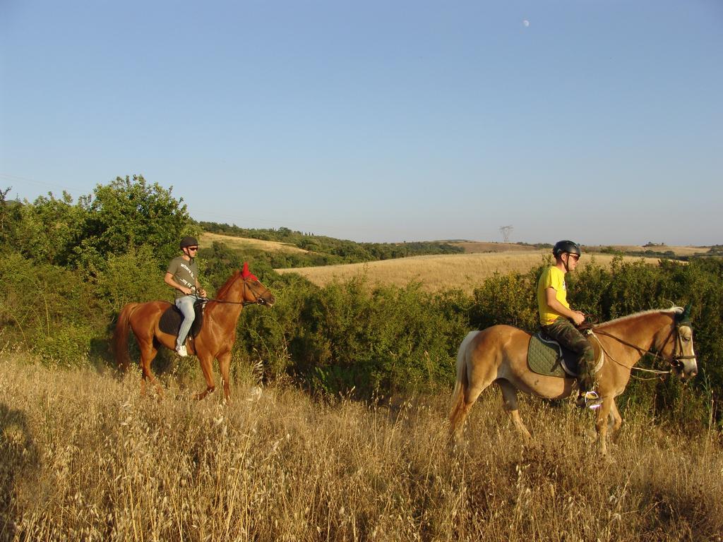 Agriturismo Eco-Bio Belmonte Vacanze Montaione Eksteriør bilde