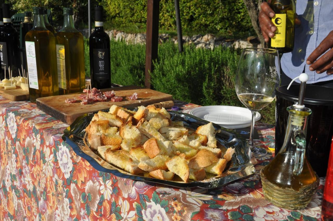 Agriturismo Eco-Bio Belmonte Vacanze Montaione Eksteriør bilde