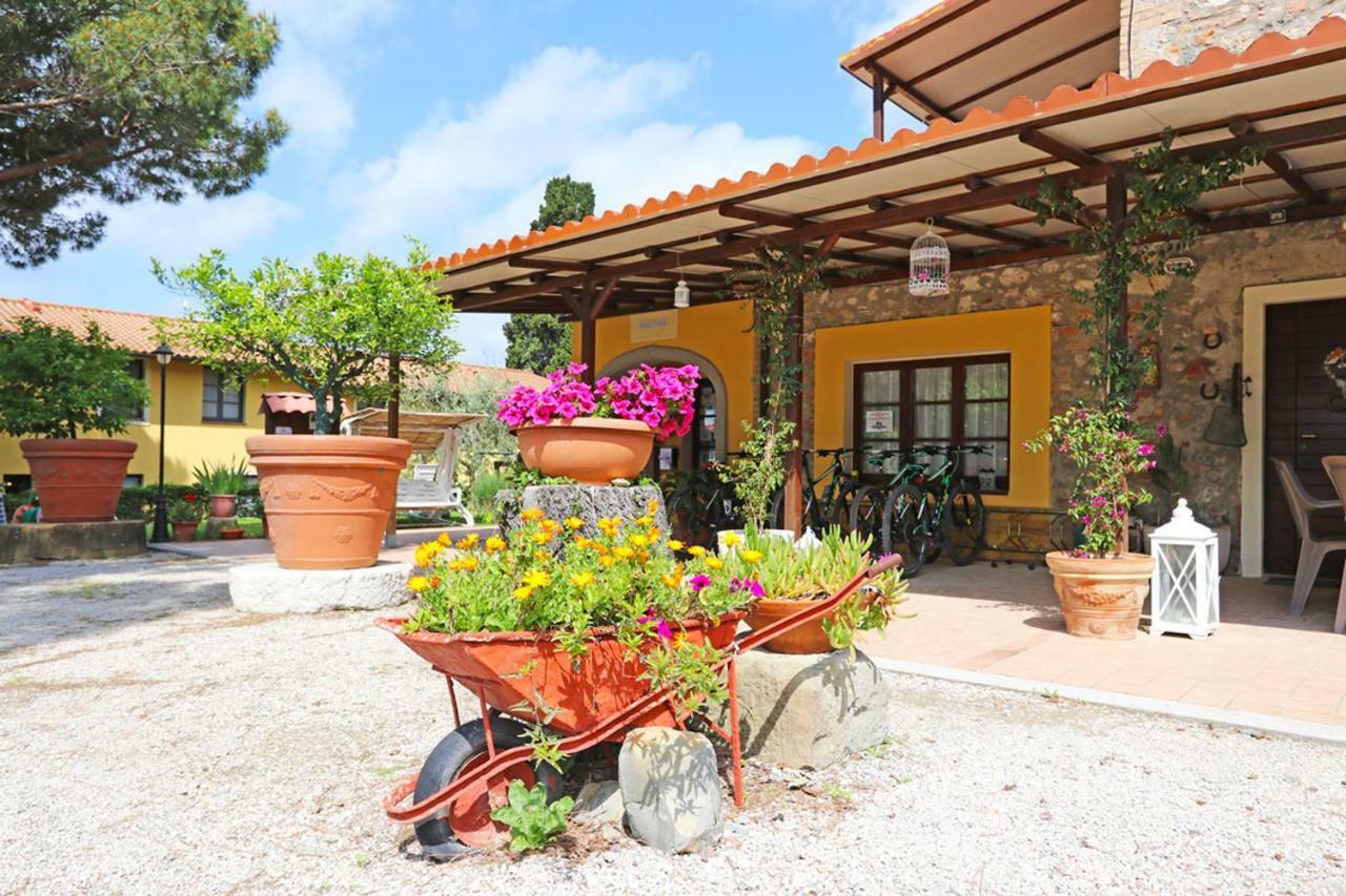 Agriturismo Eco-Bio Belmonte Vacanze Montaione Eksteriør bilde