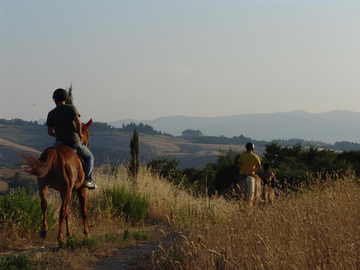 Agriturismo Eco-Bio Belmonte Vacanze Montaione Eksteriør bilde